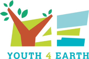 logo y4e-300x198