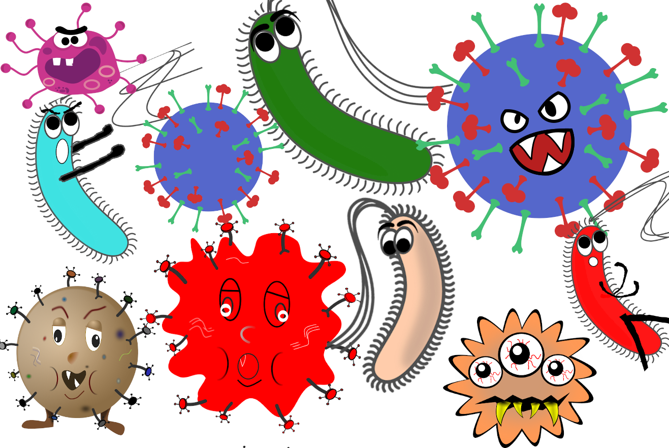bacteria club