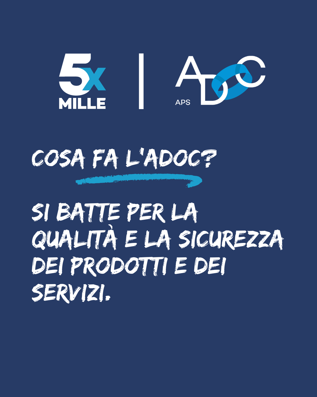 5X1000 2024_6