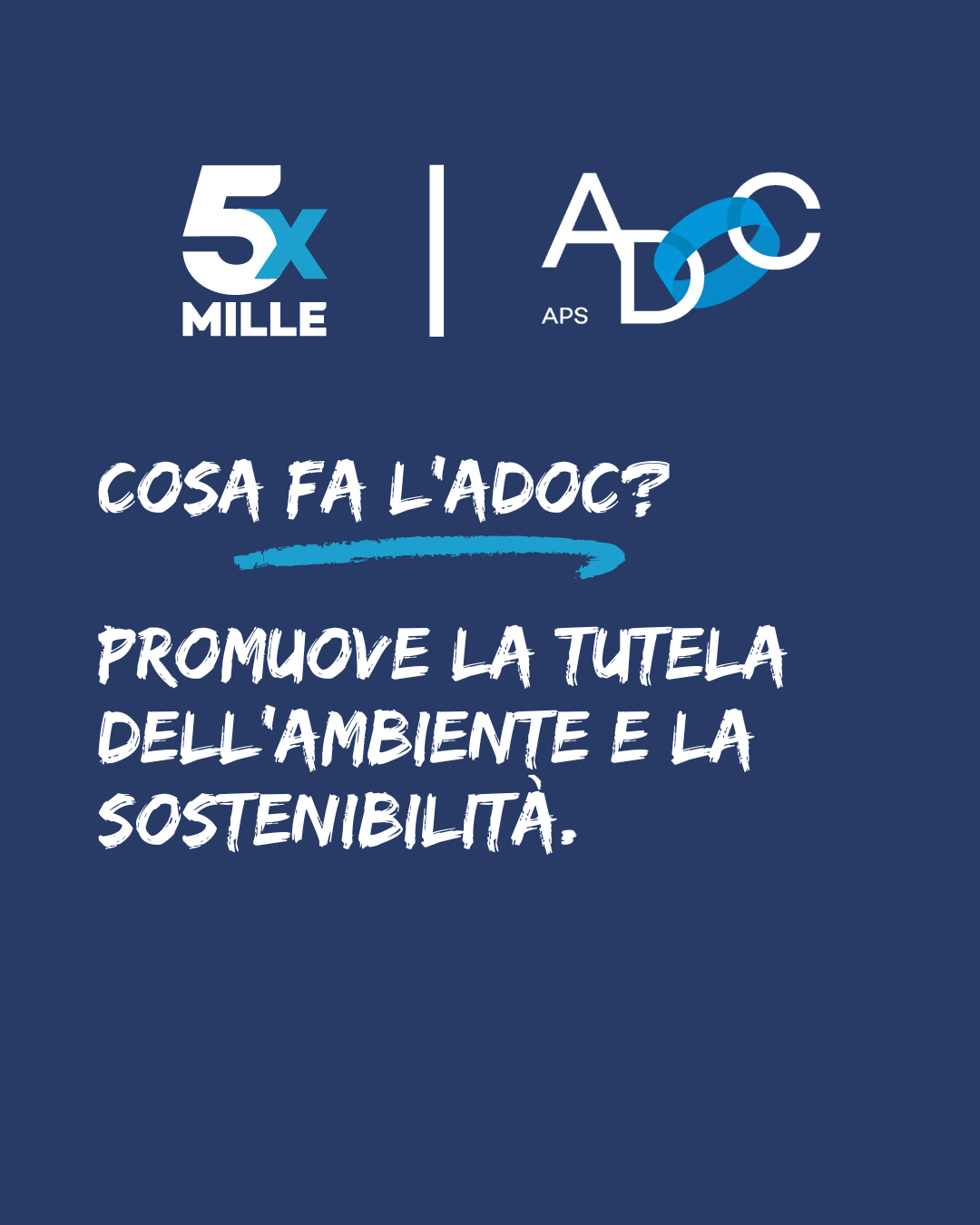 5X1000 2024_8